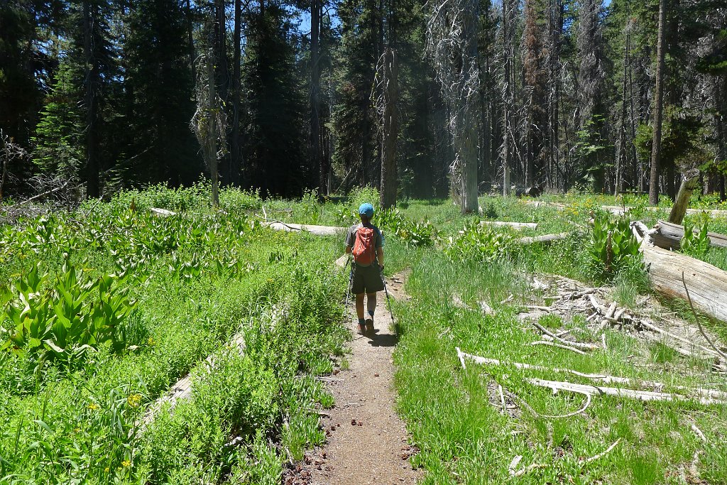 YosemiteCreek 081